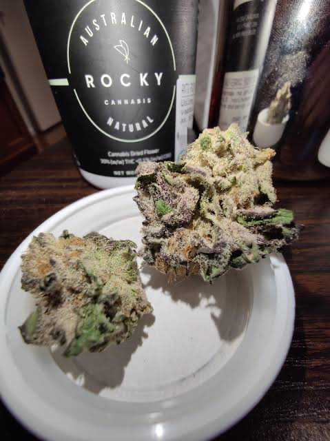 AntG Rocky