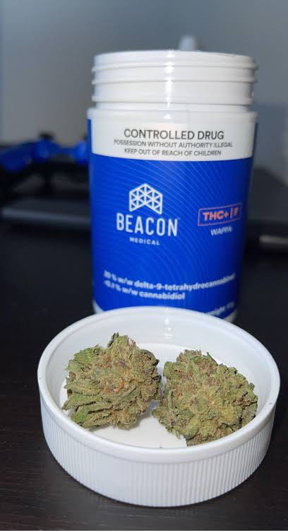 Beacon Medical - Girl Scout Cookies
