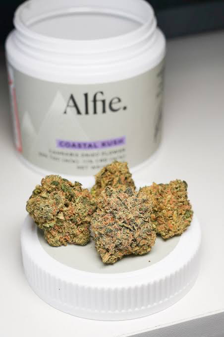 Alfie Therapeutics - Coastal Kush