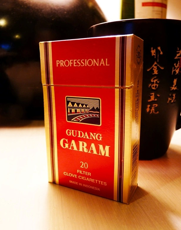 Gudang Garam Clove 20s